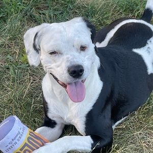 Meet your Posher, Emmeline